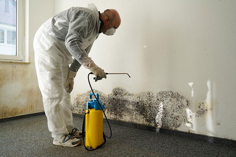 Using Mould Resistant Paints: What You Should Know Beforehand - Citywide  Decorators