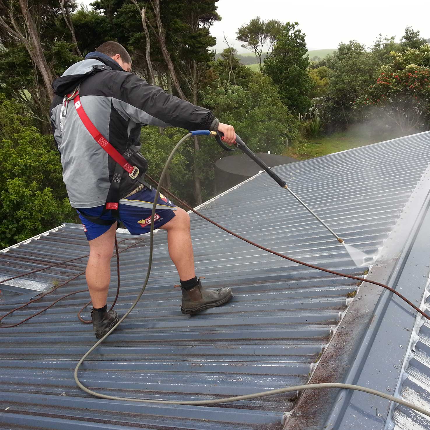 Soft-washing-auckland